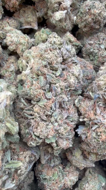 Apple Fritter – Bulk – Hybrid