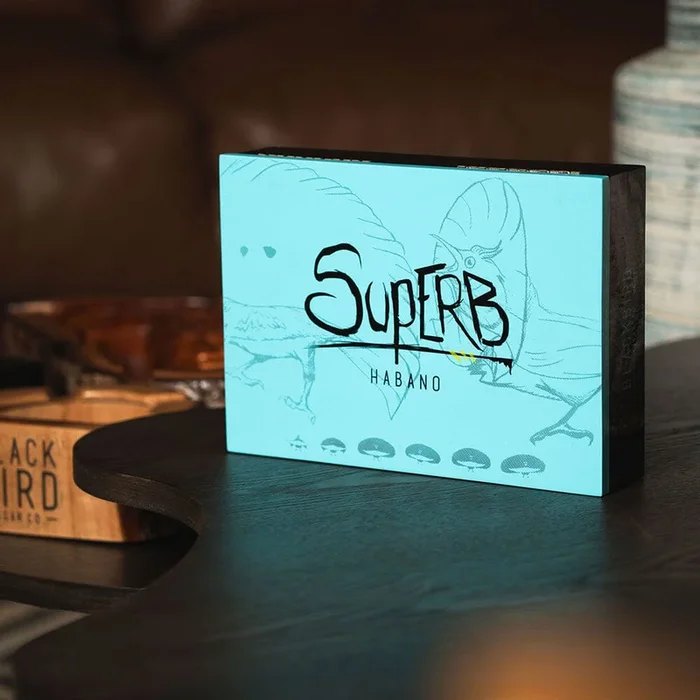 Blackbird Superb Toro