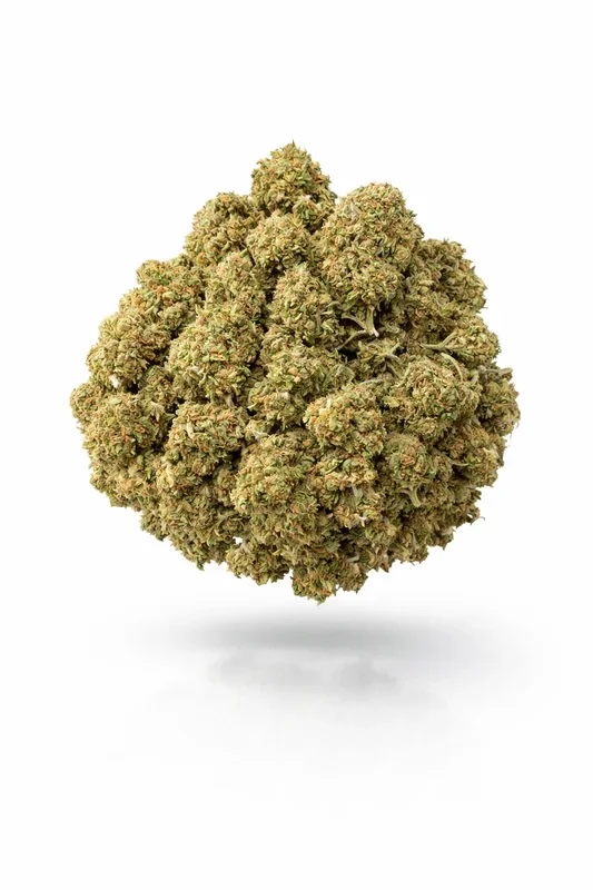 Burger Breath – Bulk – Indica