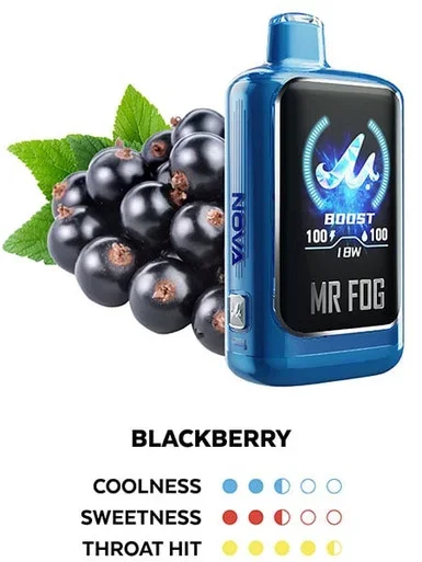 MR FOG NOVA BLACKBERRY 36K PUFFS (BLUE RAZZ STEEZY)