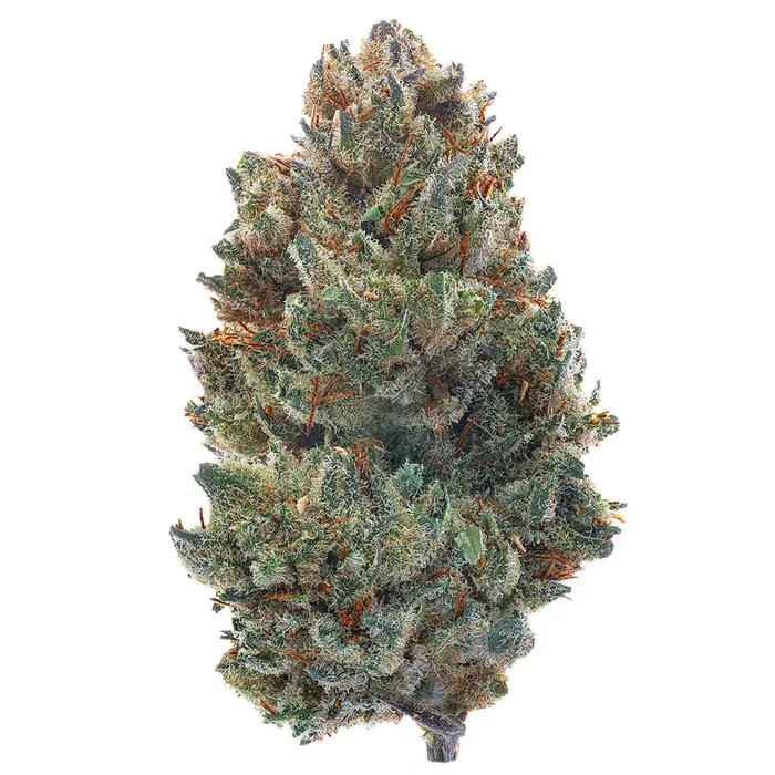 Pre 98 Bubba – 28 Grams – Indica