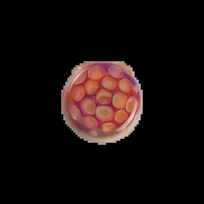 Serendipity Honeycomb Disc Pendant