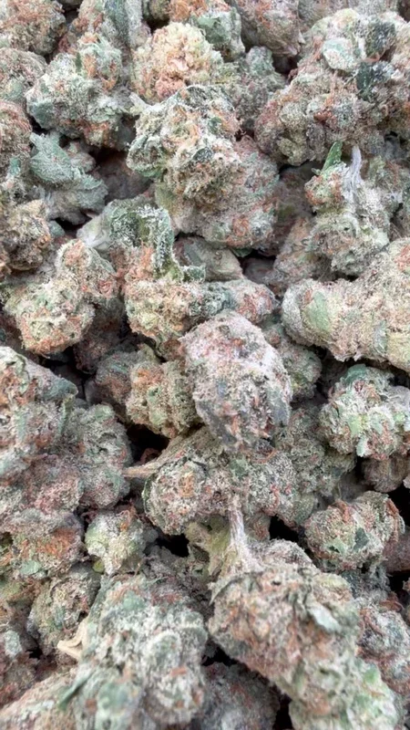 Sour OG Littles – Bulk Littles – Hybrid