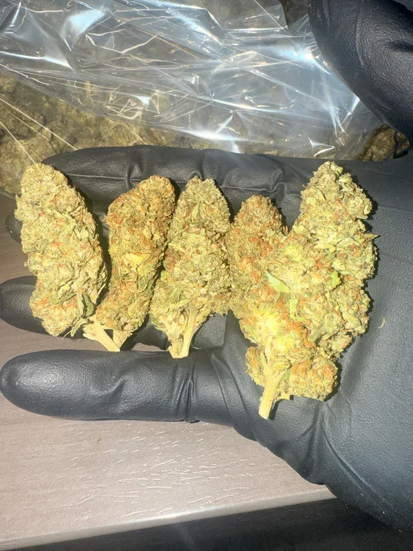 Sundae Driver – Bulk – Hybrid