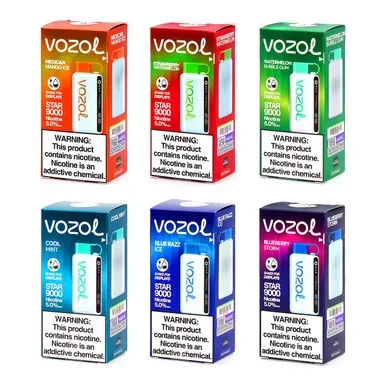 Vozol Star 9000 Disposable Vape