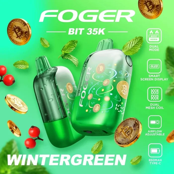 Wintergreen – Foger Bit 35k Disposable